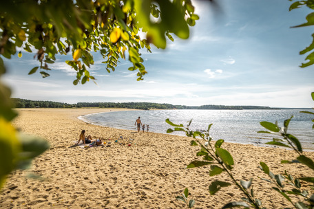 Eine FRau liegt am Strand, wärend ein Mann mit zwei Kindern am Wasser entlang spaziert